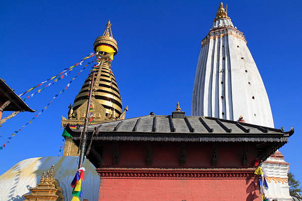 tempio di swayambhunath valle di kathmandu, nepal - nepal buddha monkey temple tibet foto e immagini stock