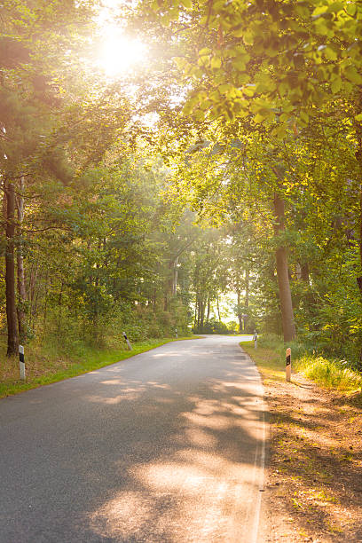 istock country street in summer with sunrays and deciduous trees 515233084
