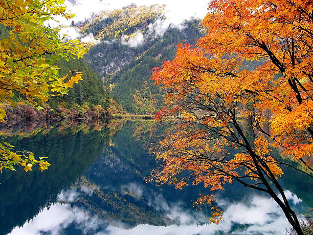 istock Reflections of the colored trees in the lake 515237572