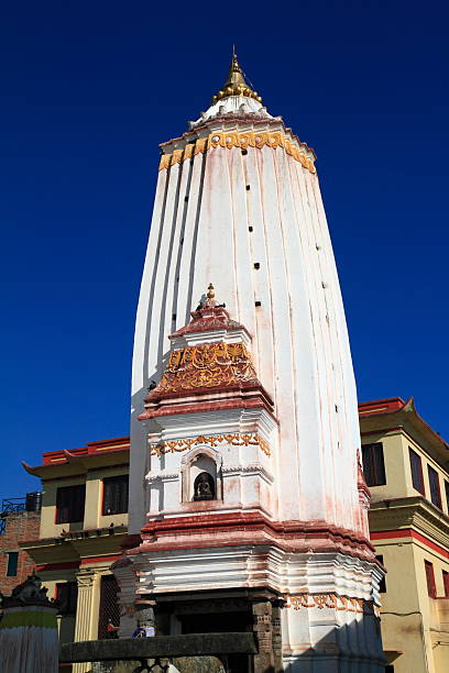 tempio di swayambhunath valle di kathmandu, nepal - nepal buddha monkey temple tibet foto e immagini stock