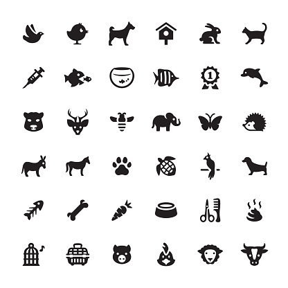 Zoo and Pets related symbols and icons.