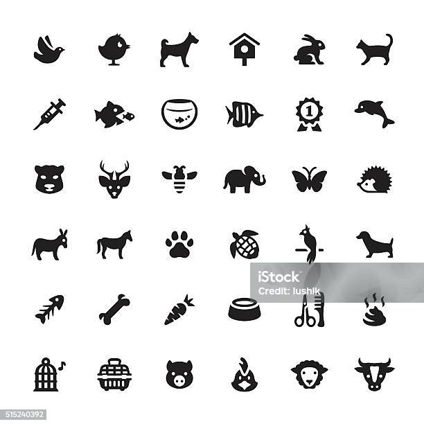 Zoo And Pets Vector Symbols And Icons Stock Illustration - Download Image Now - Bird, Animal, Domestic Cat