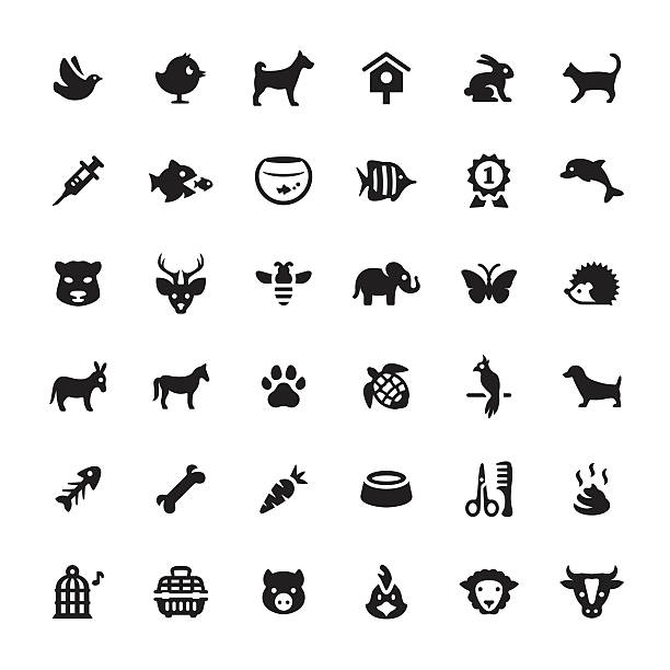 zoo and pets vector symbols and icons - 蝴蝶魚 幅插畫檔、美工圖案、卡通及圖標