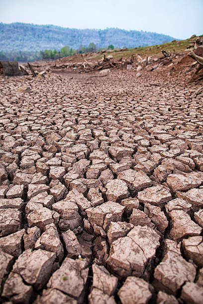 istock Dry and cracked earth background 515245685