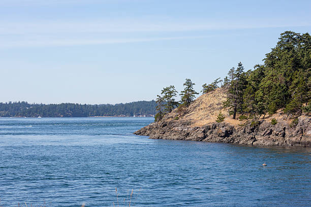 istock Rocky Coastline in San Juan Islands, Washington State 515246639