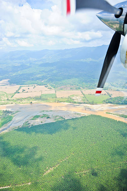 istock Aerial view, Palm Plantation, Costa Rica 515246825