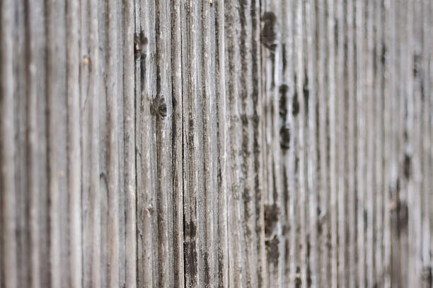 Fragmentent d'un mur en bois - Photo