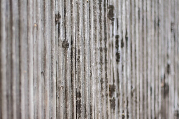 Películas de uma parede de madeira - foto de acervo