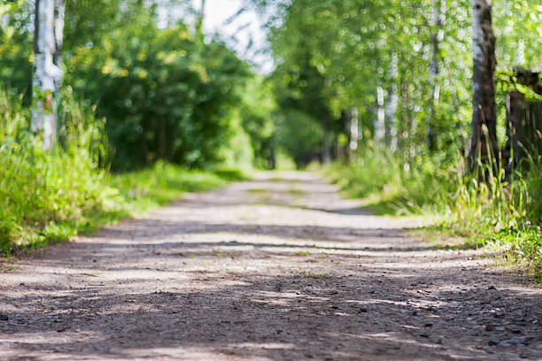 Country road corrida na Verde floresta - foto de acervo