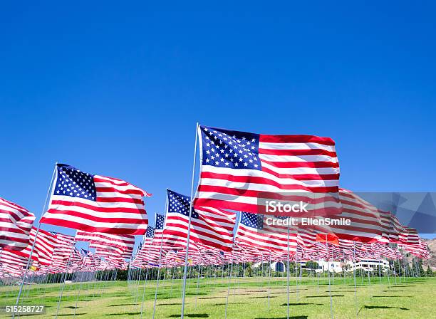 American Flags On A Field Stock Photo - Download Image Now - Agricultural Field, Air Force, American Flag