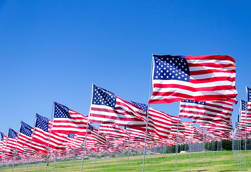 American flags background on a green field