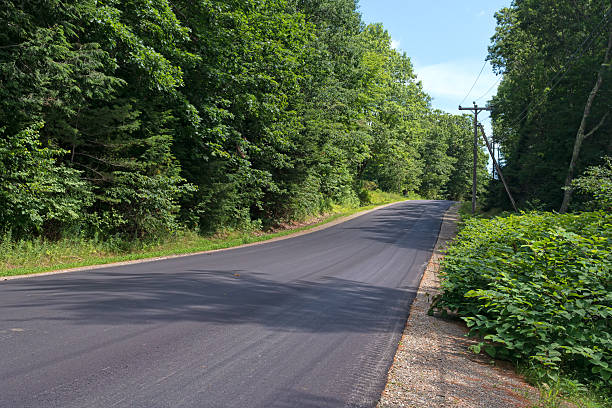 istock Country road in the summertime bordered by trees 515258917