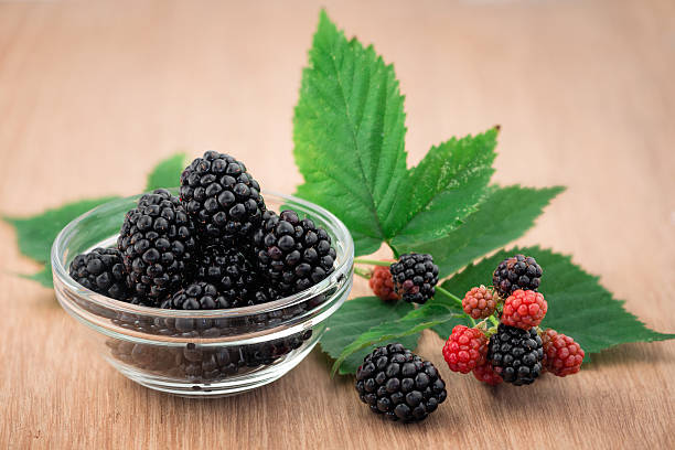 istock Full bowl of ripe fresh blackberries 515259067