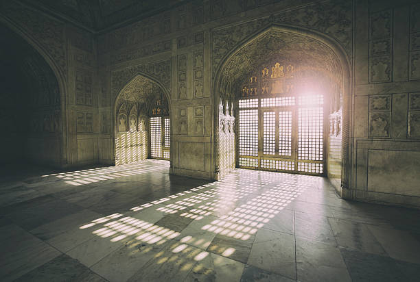 istock Windows of Agra Fort, India 515260399