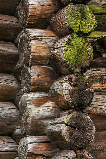 Fragmentent le vieux mur fissuré journaux - Photo