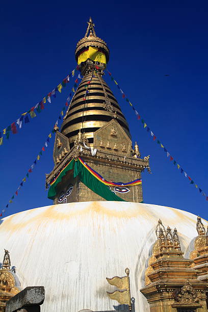 tempio di swayambhunath valle di kathmandu, nepal - nepal buddha monkey temple tibet foto e immagini stock