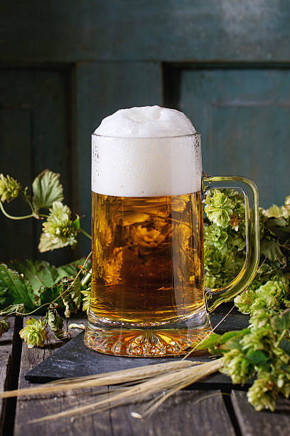 istock Mug of lager beer 515262524
