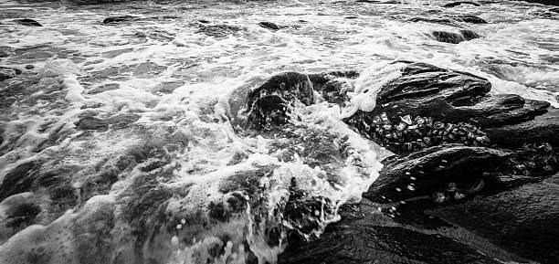 Noir et blanc et bleu de la mer - Photo