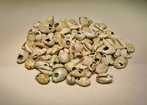 the ancient Chinese shell money