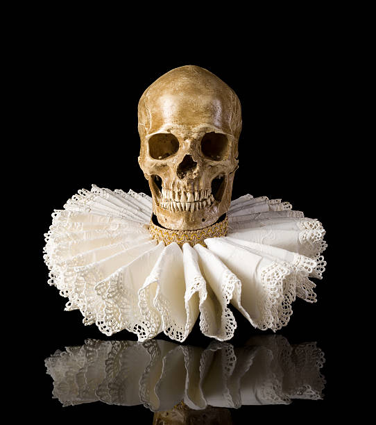 Death skull in elisabethan ruff collar Spooky skull wearing an elisabethan lace ruff collar neck ruff stock pictures, royalty-free photos & images