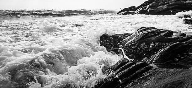 Noir et blanc et bleu de la mer - Photo