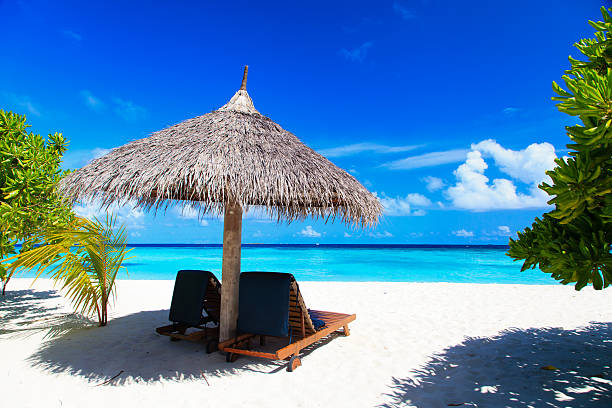 istock Beach chairs on the tropical beach 515264902