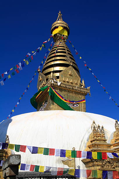 tempio di swayambhunath valle di kathmandu, nepal - nepal buddha monkey temple tibet foto e immagini stock