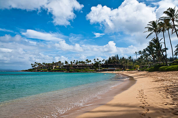 napili plaży na maui. - napili bay zdjęcia i obrazy z banku zdjęć