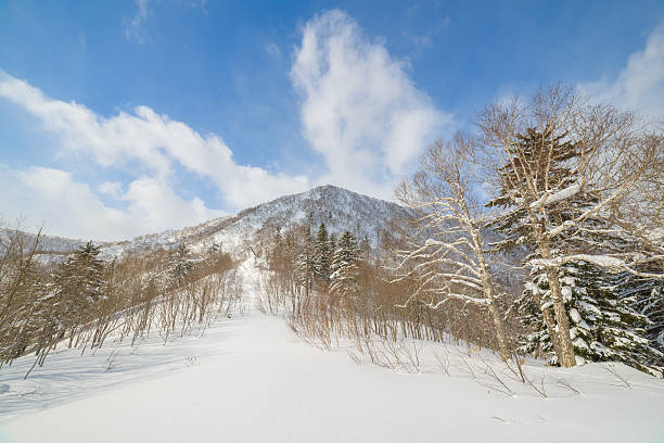 inverno in montagna, isola di sakhalin, russia. - isola di sakhalin foto e immagini stock