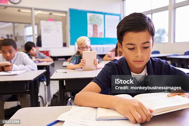 Schoolboy Reading At His Desk In An Elementary School Class Stock Photo - Download Image Now