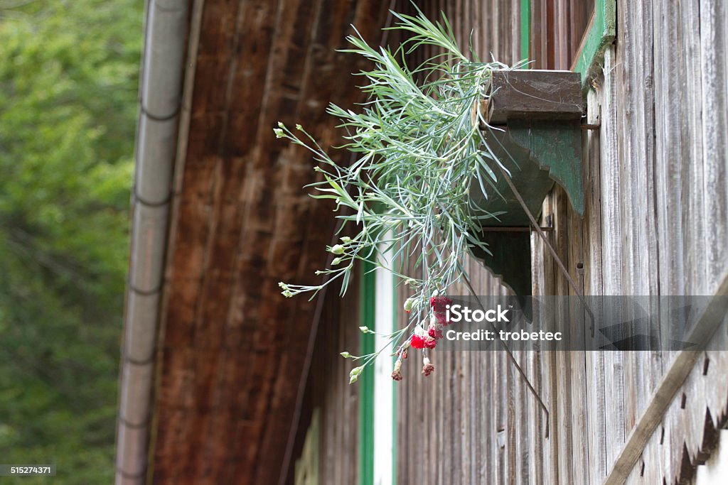 Flowers on Alpine style house Alpine Foothills Stock Photo