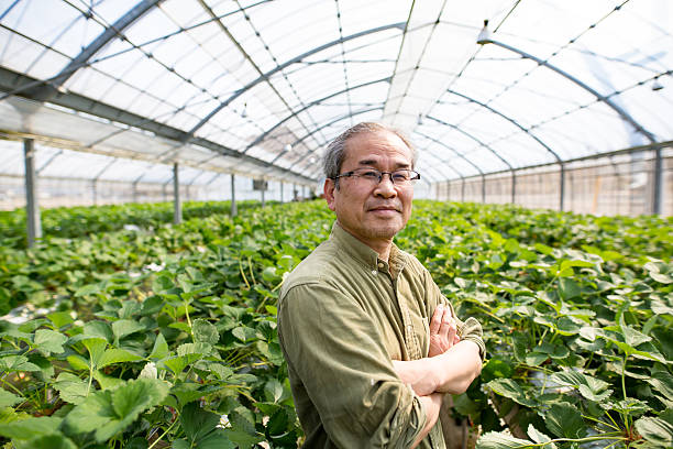 istock Mature farmer standing in his greenhouse 515274374
