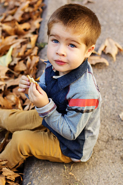 istock Little toddler boy in autumn park 515274519