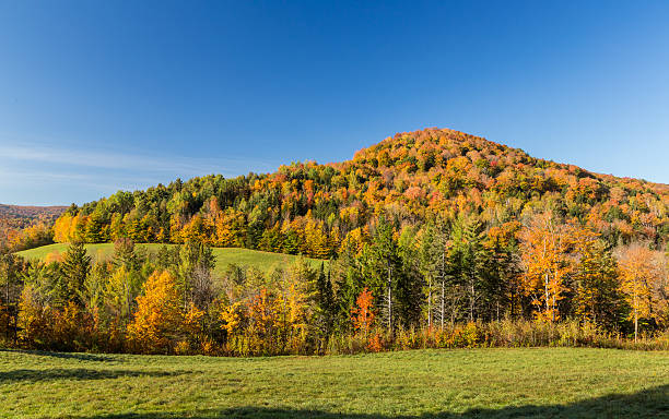 istock Falls foliage in Vermont countryside. 515274534