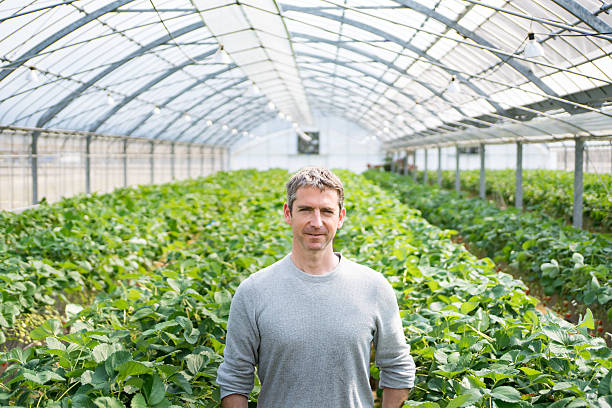 istock Middle-aged farmer standing in his greenhouse looking confident 515275490