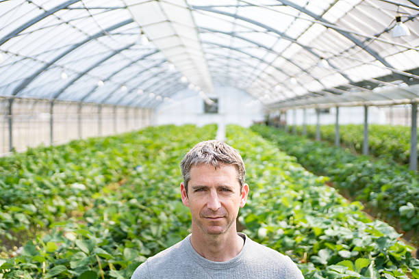 istock Middle-aged farmer standing in his greenhouse looking confident 515275966