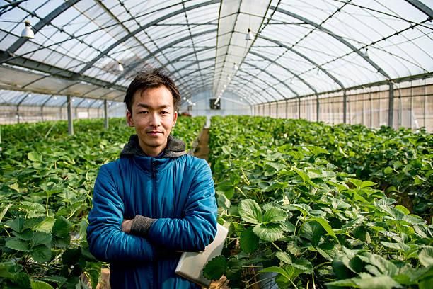 istock Mature farmer with a tablet computer in a greenhouse 515278134