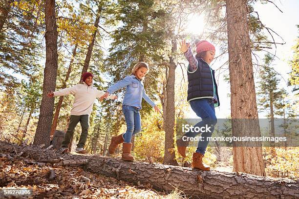 Niños Que Diversión Y Equilibrio De Árbol De Otoño Bosques Foto de stock y más banco de imágenes de Niño