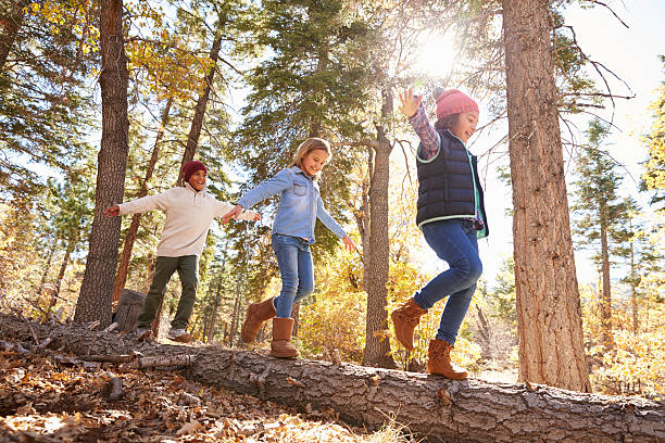 enfants s'amusant et en équilibre sur un arbre en automne bois - smiling little girls little boys autumn photos et images de collection