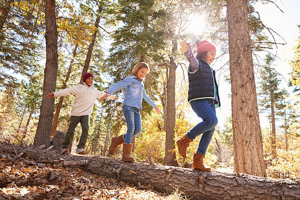 crianças diversão e o equilíbrio na árvore na floresta de outono - youth and age imagens e fotografias de stock