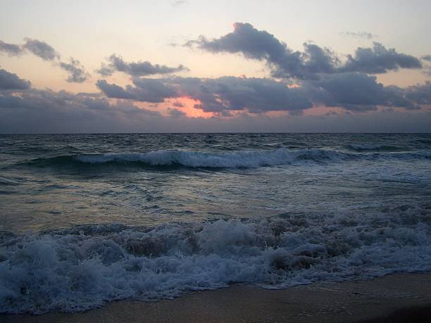 istock Pink Ray Coming Up Off the Shore 515279573