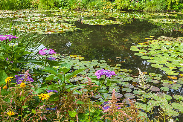 Giverny View of the garden in Giverny, France , where Claude Monet lived and created for long years. giverny stock pictures, royalty-free photos & images