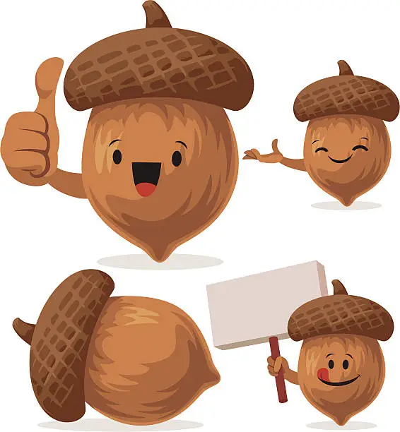 Vector illustration of Acorn Cartoon Set C