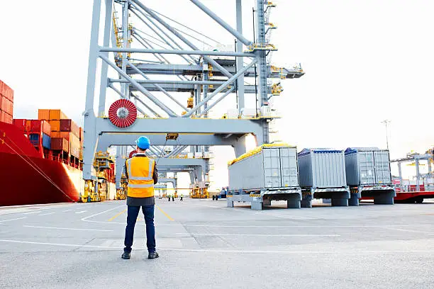 Rearview shot of a man in workwear looking up at a crane on a commercial dock