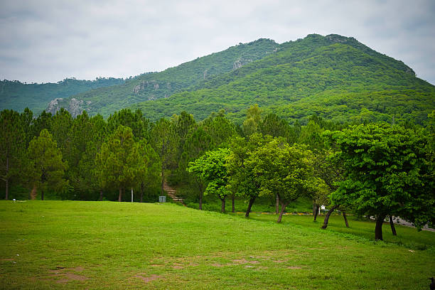 Green Landscape Green mountains and cloudy weather green mountains appalachians photos stock pictures, royalty-free photos & images