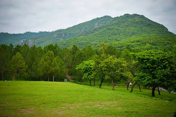 Photo of Green Landscape