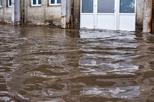 istock lost city after the rain 515309848