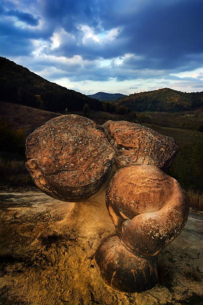 A scenic view capturing naturally sculpted rock formations resting on a vibrant, grassy terrain. The scene is illuminated by warm sunlight, highlighting the texture of the rocks against a serene blue sky.