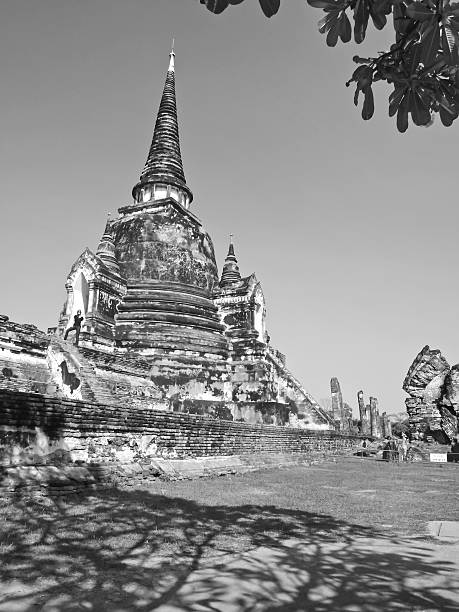 istock black and white pagoda 515316766