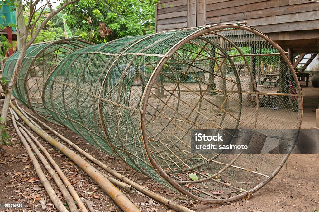 Huge Handmade Fish Traps Made Of Bamboo And Green Net Stock Photo